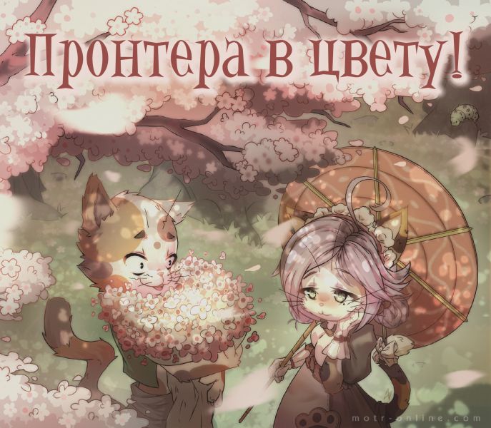 Файл:Пронтера в цвету!.jpg