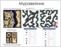 Миниатюра для версии от 10:54, 19 мая 2022